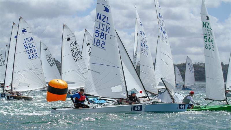 2019 Symonite OK World Championship - February 12, 2019 photo copyright Richard Gladwell taken at Wakatere Boating Club and featuring the OK class