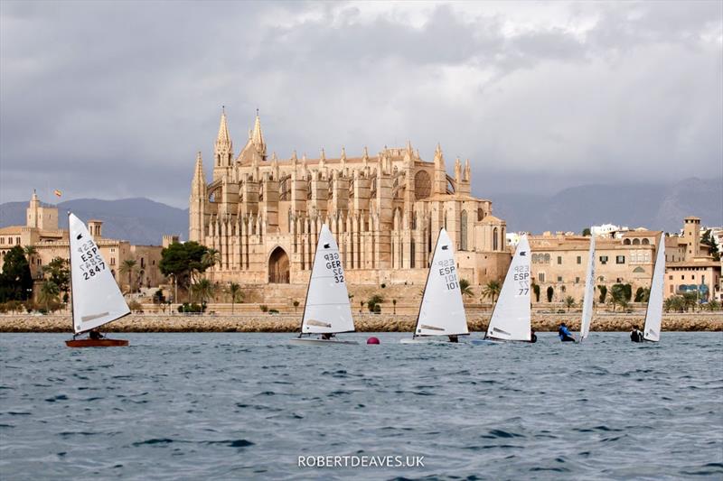 OK Dinghy training Camp in Palma in December 2022 photo copyright Robert Deaves taken at  and featuring the OK class