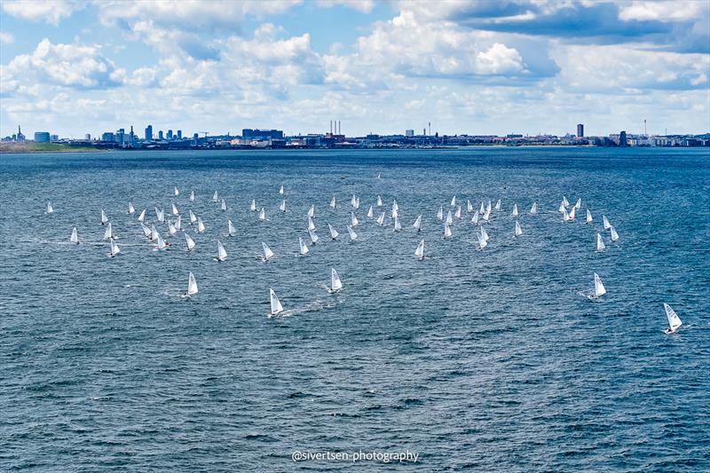 OK Dinghy World Championship 2026 at Skovshoved, Denmark  - photo © Sivertsen Photography
