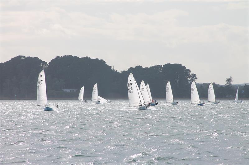 Poole'daki OK Dinghy Güney Şampiyonası - fotoğraf © Mary Reddyhoff