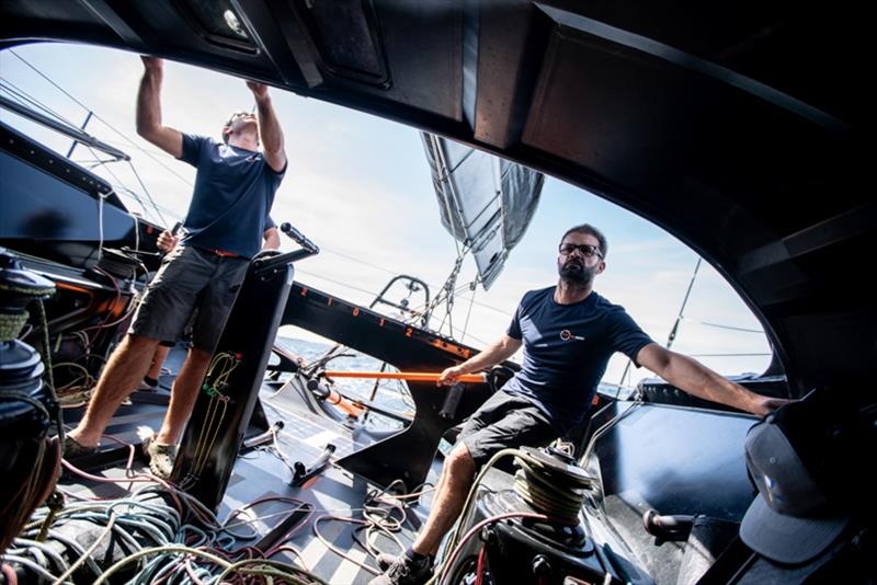 11th Hour Racing on the charge - Transat Jacques Vabre day 9 - photo © Amory Ross