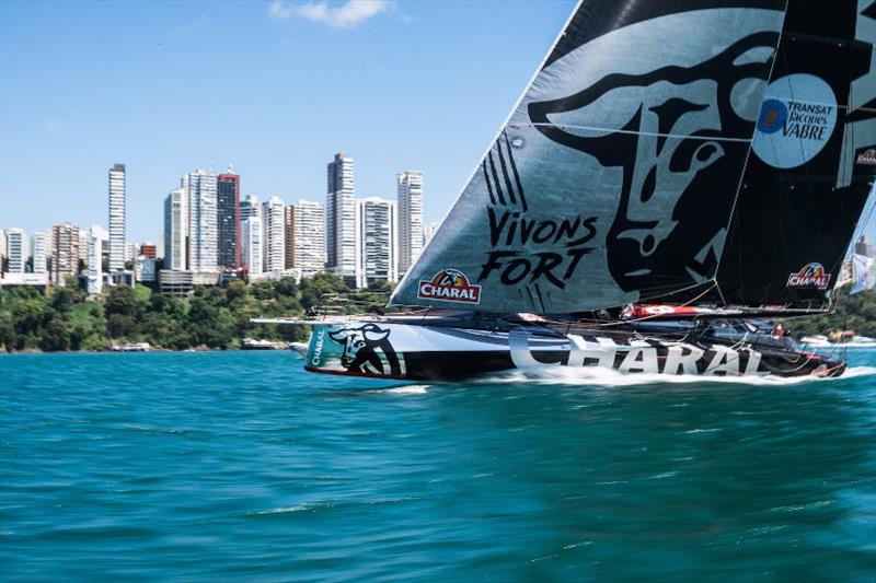 Charal - Jérémie Beyou - Transat Jacques Vabre 2019 photo copyright JL Carli / Aléa taken at  and featuring the IMOCA class