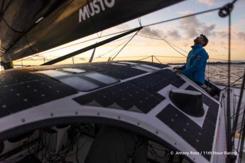 Transat Jacques Vabre Day 16 photo copyright Amory Ross / 11th Hour Racing taken at  and featuring the IMOCA class