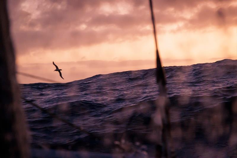 Biotherm - The Ocean Race Leg 3 - photo © Anne Beaugé / Biotherm