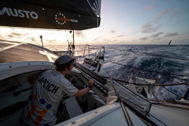 11th Hour Racing Team - The Ocean Race photo copyright Amory Ross / 11th Hour Racing / The Ocean Race taken at  and featuring the IMOCA class