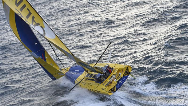 Transat Jacques Vabre 2023 - photo © SEA.AI