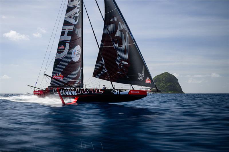 Charal - 2023 Transat Jacques Vabre photo copyright Jean-Louis Carli / Transat Jacques Vabre taken at  and featuring the IMOCA class