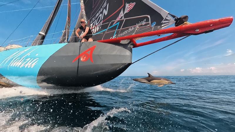 Onboard reporter Flore Hartout capturing photos yesterday of Team Malizia's frequent companions, the dolphins - photo © Flore Hartout | Team Malizia