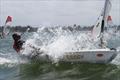 Nicholas Ebourne - 2022 AUS O'pen Skiff Championships © Jim Lelaen