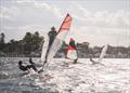 Royal Freshwater Bay Yacht Club International Classes Regatta © Tom Hodge Media