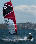 O'pen Skiff Manly Cup 2025 © Marg's Yacht Photos