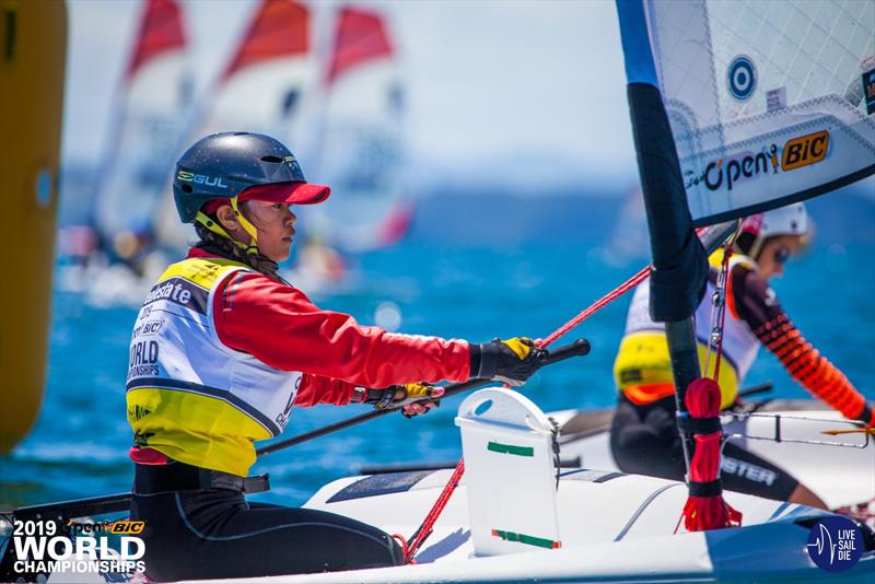 O'Pen Bic World Championships. Manly Sailing Club, New Zealand. Sunday 30 December photo copyright Suellen Davies taken at Manly Sailing Club and featuring the  class