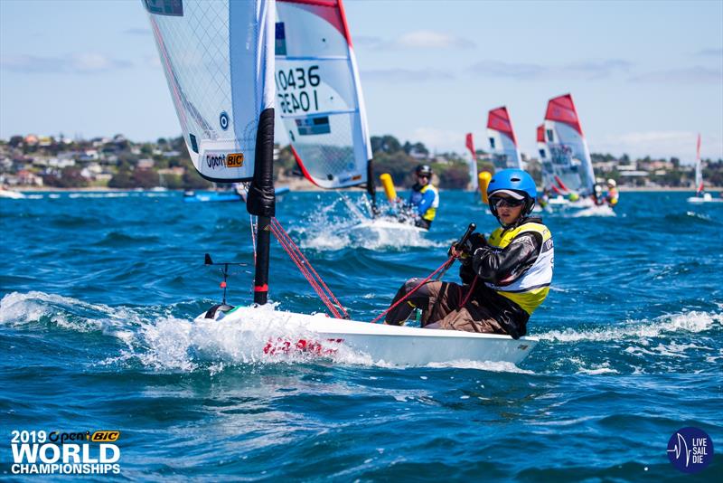 2018 O'Pen BIC World Championships - Manly SC, New Zealand - Day 3 photo copyright Suellen Davies taken at Manly Sailing Club and featuring the  class