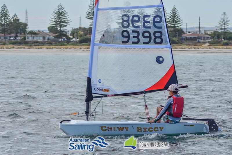 The Open Bic racing will be hotly contested this year - South Australian Youth Championships photo copyright Harry Fisher taken at Adelaide Sailing Club and featuring the  class