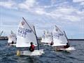 Scottish Optimist Travellers at Peterhead © Matt Toynbee