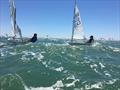 Tune Up before the first start during the Optimist Europeans in Cadiz © Steve Irish