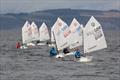 Scottish Optimist Traveller at Nairn © Alec Munro