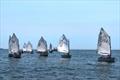 2021 Larry White Junior Olympic Regatta © Ken Shluger