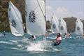 Royal Cargo All Souls Regatta © Peter Stevens