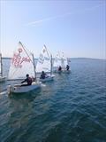 Prestwick Sailing Club Scottish Youth Optimist Regatta © Niel Ritchie