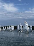 Chichester Yacht Club Optimist Open © Louise Knight