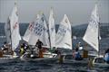 34th Palamós Optimist Trophy © Alfred Farré