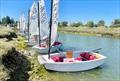 Corinthian Otters Explore Lion Creek, River Crouch © Steve Hall / Steve Kimber