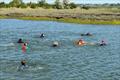 Corinthian Otters Explore Lion Creek, River Crouch © Steve Hall / Steve Kimber