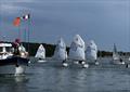 Chichester Yacht Club Optimist Open