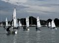 Chichester Yacht Club Optimist Open