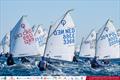 © Pep Portas / RCN Torrevieja