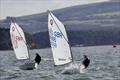 IOCA Optimist End of Season Championships 2025 at Parkstone © Livs Dowling / OCT Films