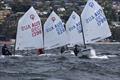 Fabio Moeller (1799) is leading the Intermediate Fleet - 2026 Musto Australian Optimist Championship