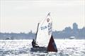 East Coast Championships 2026 at Woollahra Sailing Club &copy; www.mainsheet.in