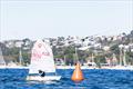 East Coast Championships 2026 at Woollahra Sailing Club &copy; www.mainsheet.in