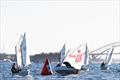 East Coast Championships 2026 at Woollahra Sailing Club &copy; www.mainsheet.in