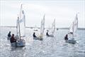 Coached Regatta - Optimist open meeting at Parkstone &copy; Michael Crane