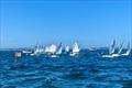 Racing Regatta - Optimist open meeting at Parkstone &copy; Jo Redmile