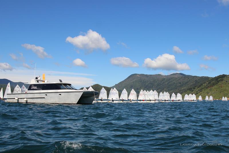 Interislander Optimist & Starling Regatta at Queen Charlotte Yacht Club photo copyright Lamirana Photography taken at Queen Charlotte Yacht Club and featuring the Optimist class