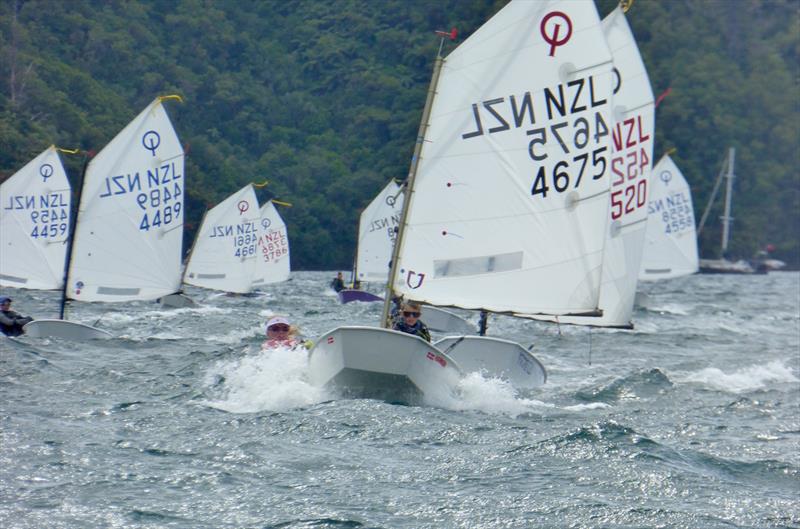 Interislander Optimist & Starling Regatta at Queen Charlotte Yacht Club photo copyright Jonny Fullerton taken at Queen Charlotte Yacht Club and featuring the Optimist class