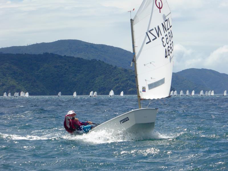 Interislander Optimist & Starling Regatta at Queen Charlotte Yacht Club photo copyright Jonny Fullerton taken at Queen Charlotte Yacht Club and featuring the Optimist class