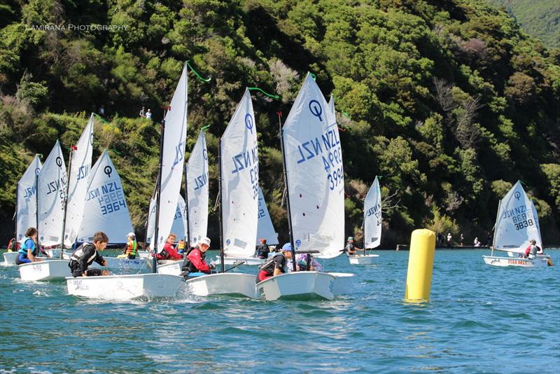 Interislander Optimist & Starling Regatta at Queen Charlotte Yacht Club photo copyright Lamirana Photography taken at Queen Charlotte Yacht Club and featuring the Optimist class