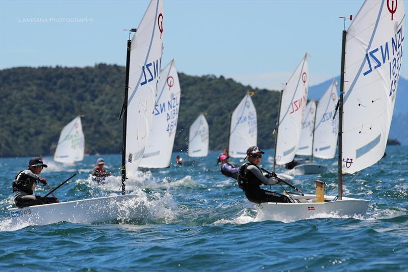 Interislander Optimist & Starling Regatta at Queen Charlotte Yacht Club photo copyright Lamirana Photography taken at Queen Charlotte Yacht Club and featuring the Optimist class