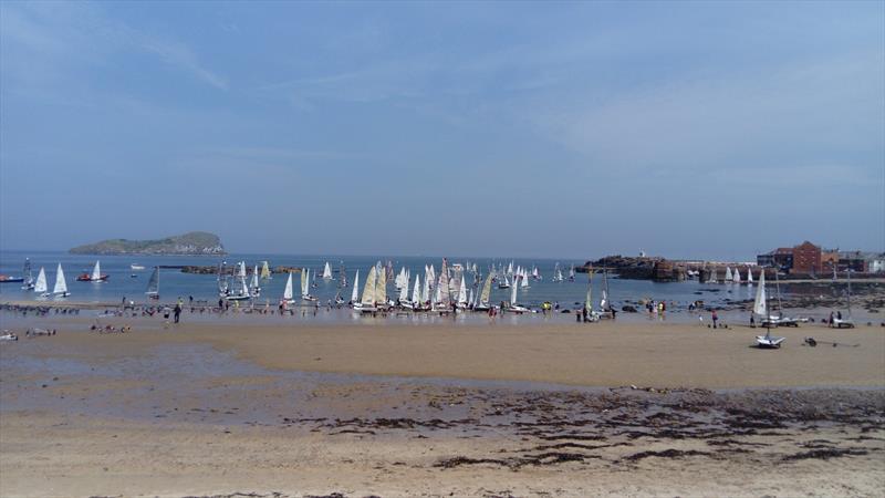 Scottish Optimist Travellers at North Berwick photo copyright Richard Coombs taken at  and featuring the Optimist class
