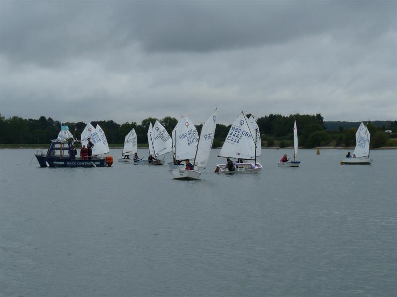 A busy year ahead at Shustoke Sailing Club photo copyright Zara Turtle taken at Shustoke Sailing Club and featuring the Optimist class