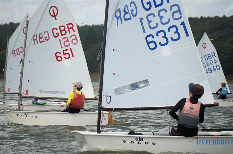 Royal Harwich Yacht Club Junior Race Week photo copyright Carly Jones taken at Royal Harwich Yacht Club and featuring the Optimist class