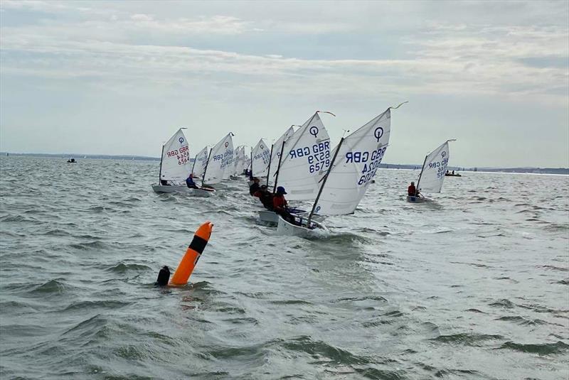 Hamble River SC Optimist Open - photo © Jane Saunders