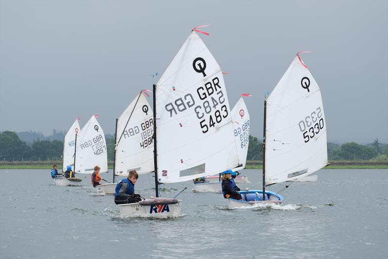 Island Barn Reservoir Optimist Open photo copyright Gavin Hayhurst taken at Island Barn Reservoir Sailing Club and featuring the Optimist class