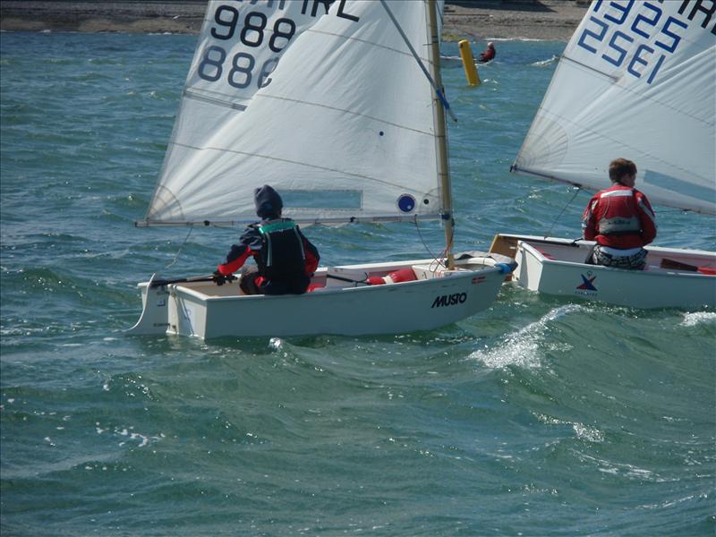 Sailors enjoy the Craftinsure Leinster Championships photo copyright Rod Danie taken at Skerries Sailing Club and featuring the Optimist class
