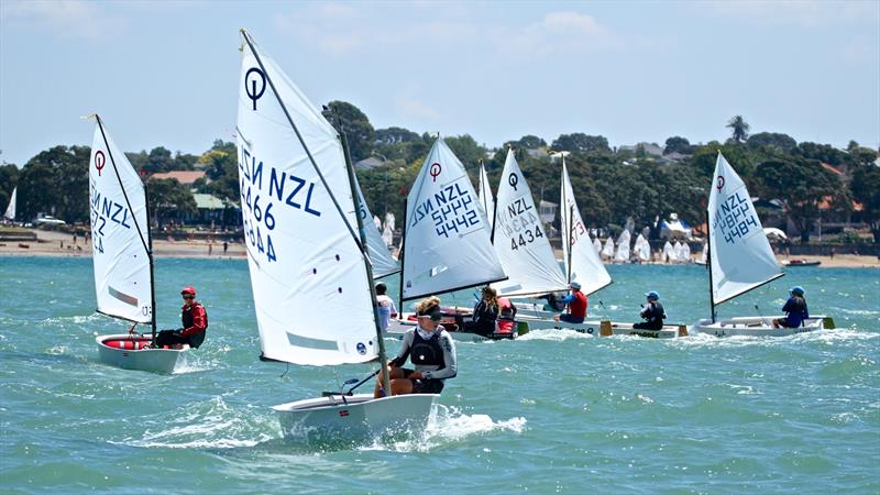 2014 Auckland Optimist Championships, Wakatere Boating Club  photo copyright Richard Gladwell taken at Wakatere Boating Club and featuring the Optimist class